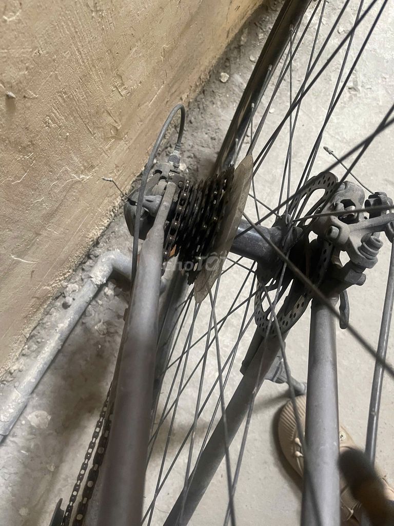 Nhà dư xe đạp thể thao Thống Nhất cần bán. Mua bán Xe đạp tại Quận 7 Tp Hồ Chí Minh được đăng bởi Nguyễn Thị Hồng Thuyết hình 3