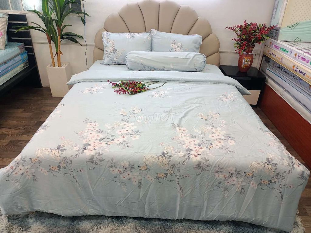 Drap tencel xịn, đẹp