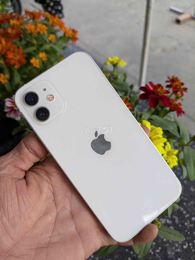 iPhone12 đẹp keng, 99,9% màu trắng rất đẹp có GL