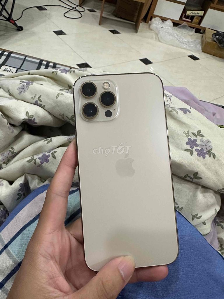 bán iPhone 12 Pro Max 512GB Vàng zin full cn p83. Mua bán Điện thoại tại Quận Hoàng Mai Hà Nội được đăng bởi Ngọc Sơn hình 1
