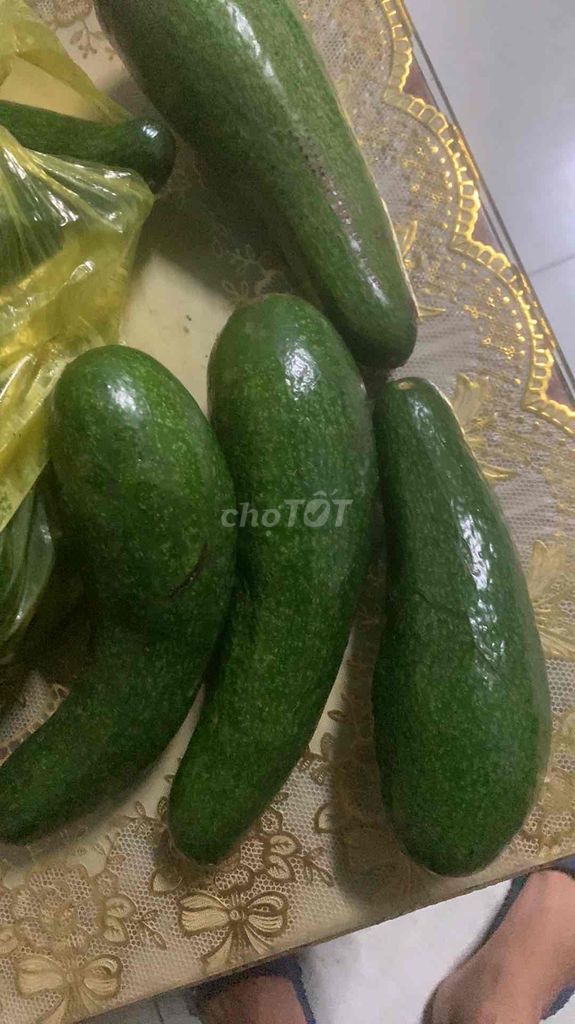Bơ 034 Nhà trồng Xanh. Mua bán Đồ ăn, thực phẩm và các loại khác tại Thành phố Buôn Ma Thuột Đắk Lắk được đăng bởi Thuận Phát hình 1