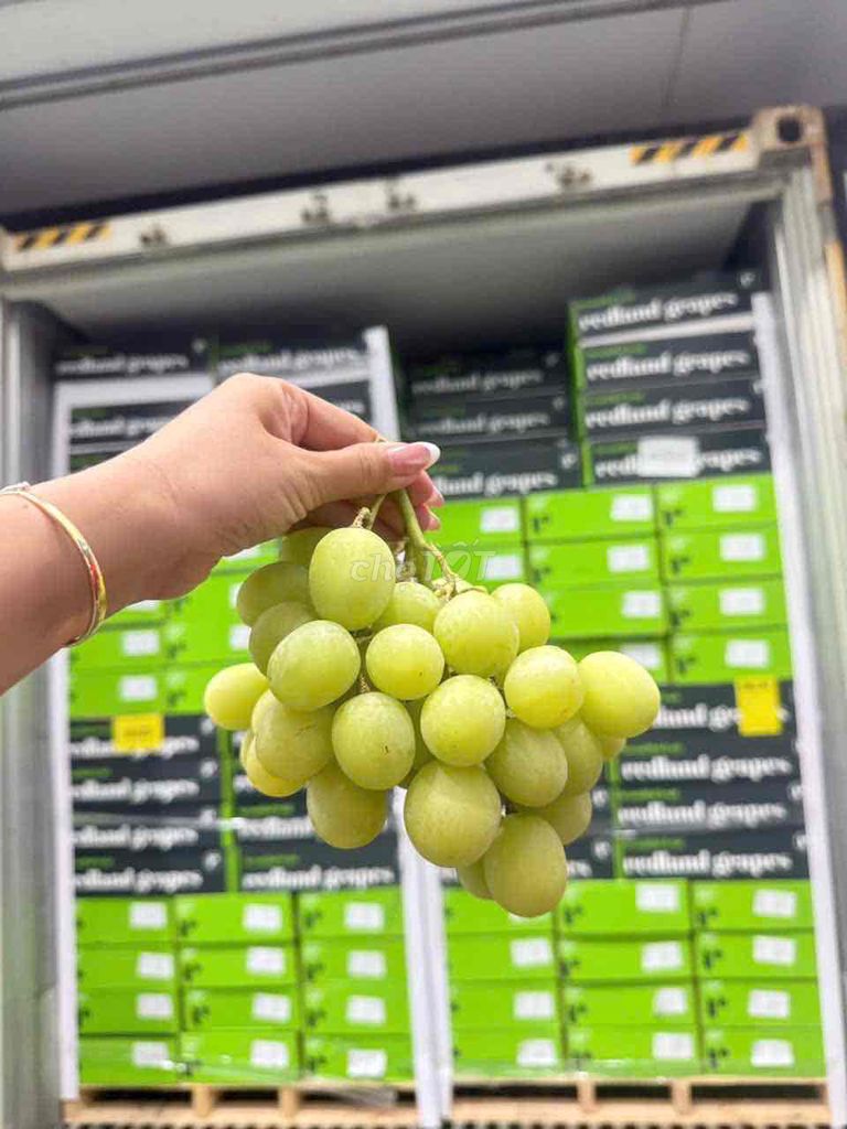 Nho Redland Autumn Crips Xanh. Mua bán Đồ ăn, thực phẩm và các loại khác tại Quận Tân Phú Tp Hồ Chí Minh được đăng bởi Bảo Long Food Kho Sỉ Trái Cây Ngoại Nhập hình 1