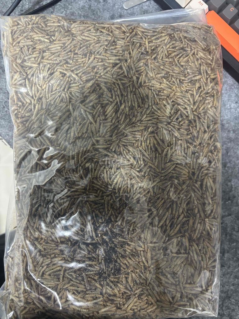 Thức ăn vật nuôi Sâu canxi sấy khô. Mua bán Phụ kiện, Thức ăn, Dịch vụ tại Thành phố Thủ Đức Tp Hồ Chí Minh được đăng bởi Tuan hình 1