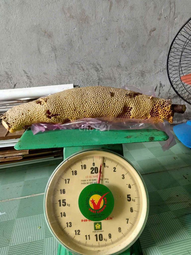 mật ong ruồi nguyên chất. Mua bán Đồ ăn, thực phẩm và các loại khác tại Thành phố Cà Mau Cà Mau được đăng bởi Hồng Nhi hình 3