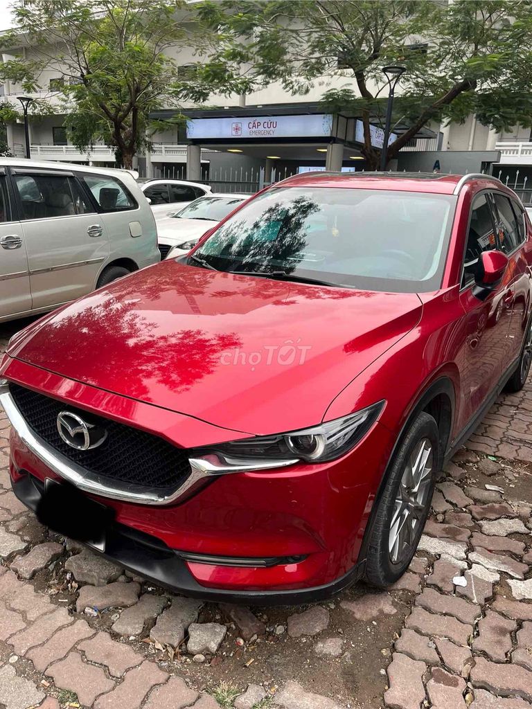 Ảnh số 2