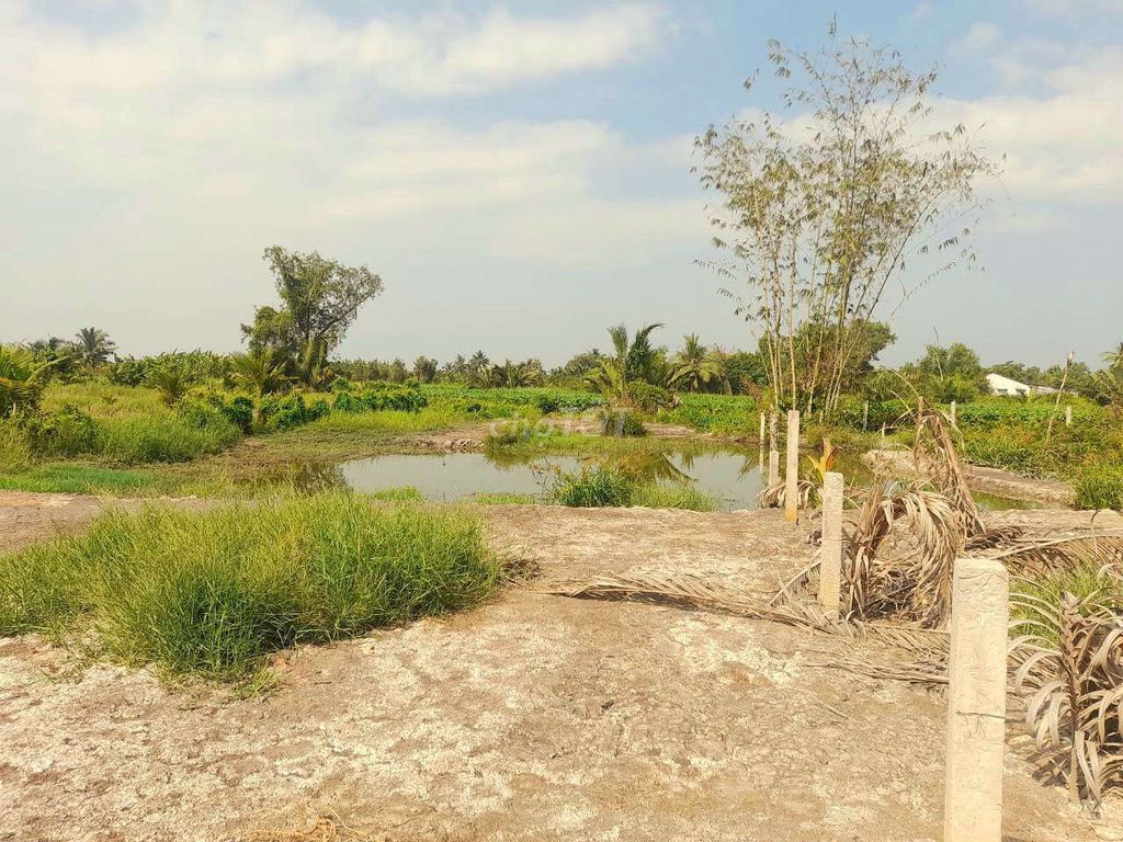 500m2 đất vườn view kênh mát mẻ, kdc Lạc Tấn, 239 tr