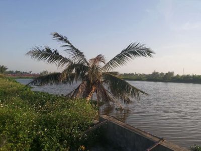 Bán 1.030 m2 đất thổ cư giáp sông, view cực đẹp tại D��ơng Kinh, HP. Mua bán đất tại Quận Dương Kinh Hải Phòng được đăng bởi a di da phat