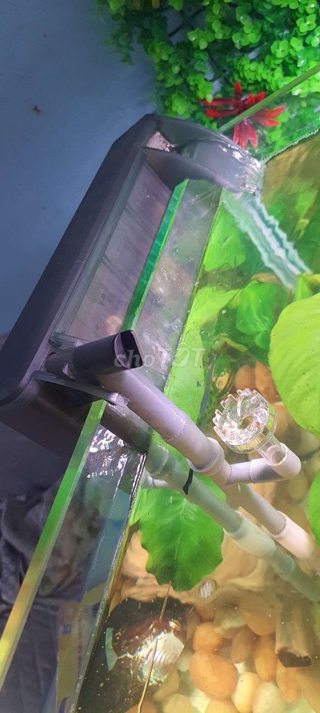 Lọc thác bể cá Nhựa Đen Lọc nước. Mua bán Phụ kiện, Thức ăn, Dịch vụ tại Thành phố Dĩ An Bình Dương được đăng bởi Công Nhận Máy May hình 1