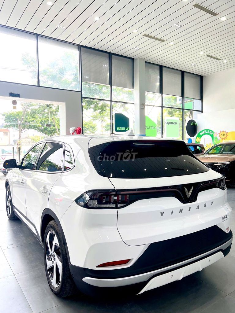 Ảnh số 6
