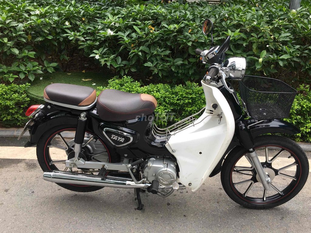 Honda Cúp 50cc 2022 Bản đặc biệt Trắng đen. Mua bán Xe máy tại Quận Cầu Giấy Hà Nội được đăng bởi tranhoan hình 2