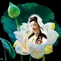 Cửa hàng Thanh phúc Cửa hàng Thanh phúc