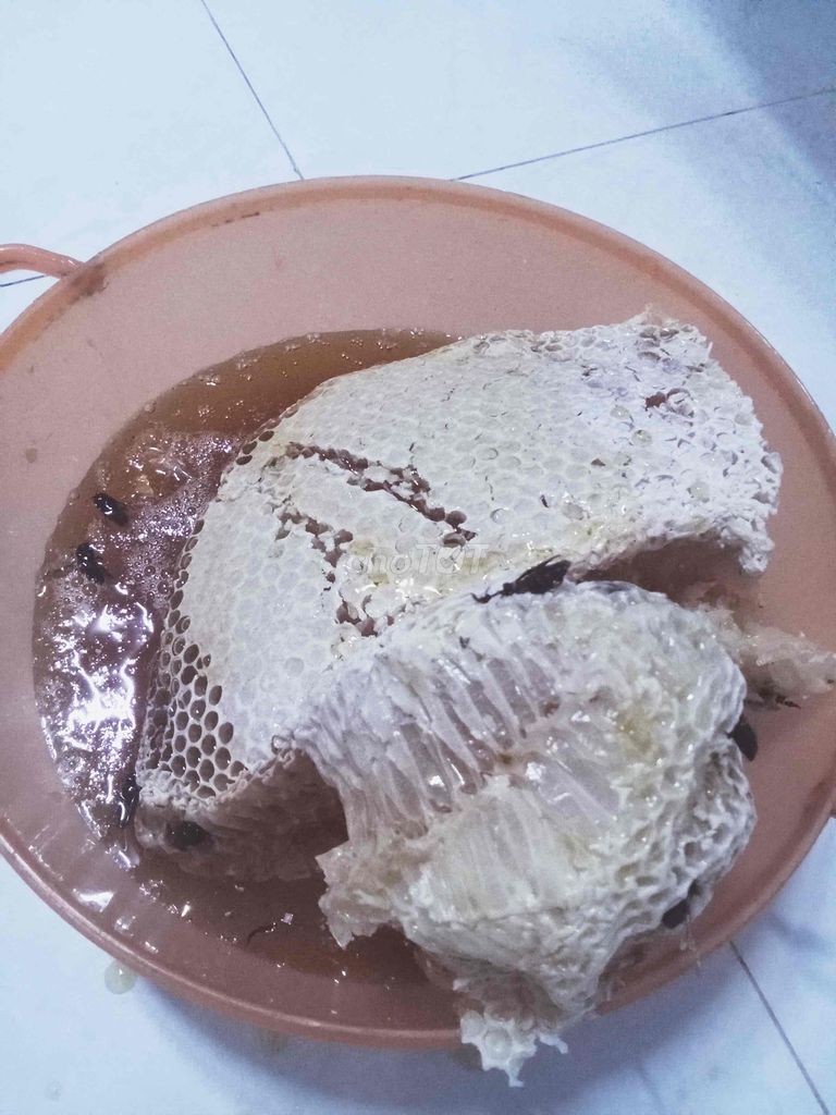 MẬT ONG RỪNG NGUYÊN CHẤT (ONG KHOÁI và ONG RUỒI). Mua bán Đồ ăn, thực phẩm và các loại khác tại Huyện Châu Thành Long An được đăng bởi Trần Văn Sáu  hình 5