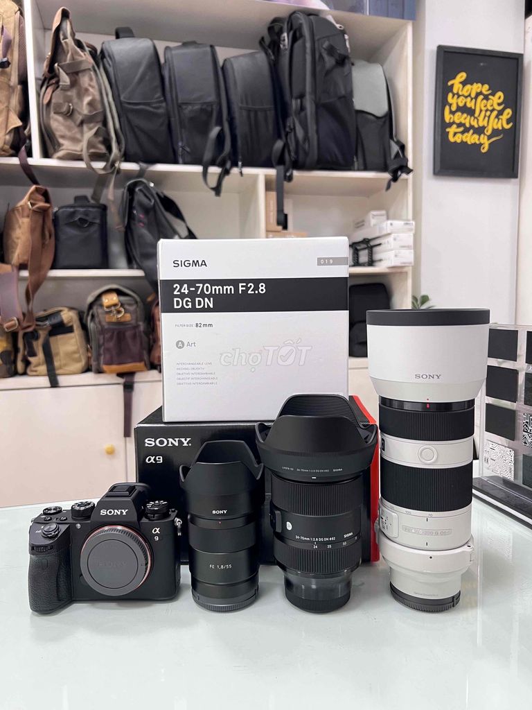 Sony A9 - sony 55 CZ - sigma 24-70 - sony 70-200