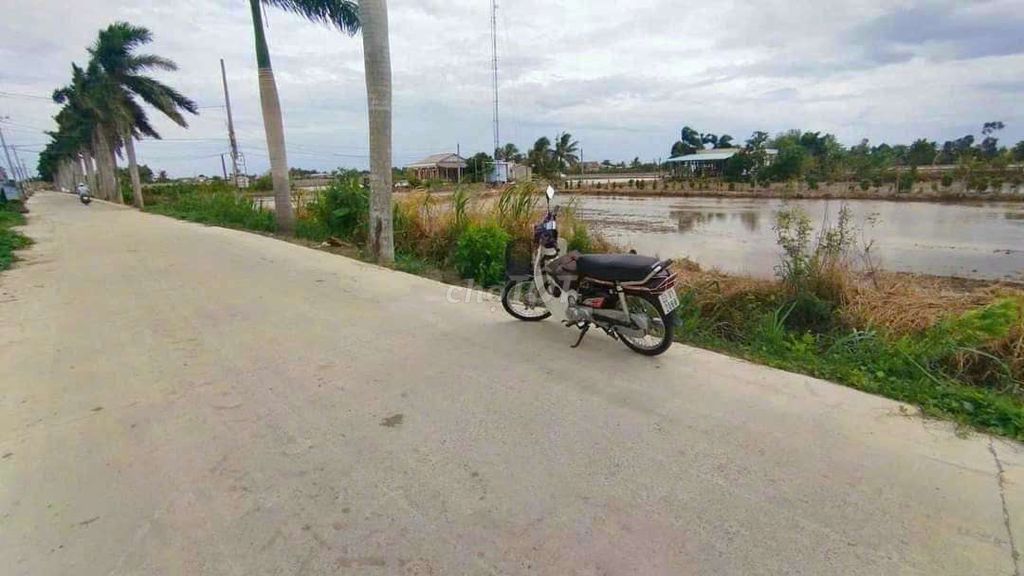 F0 Đ. Cầu Dừa 5 x 33m cách nhựa Huỳnh Văn Đảnh 200m