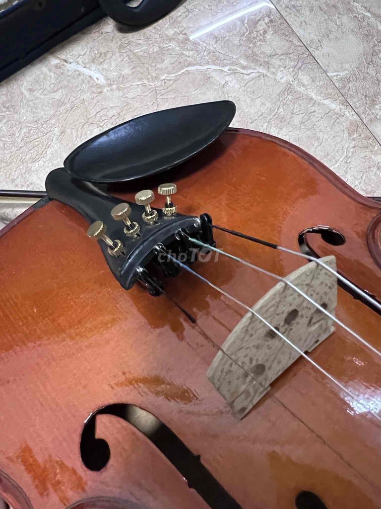 đàn violin