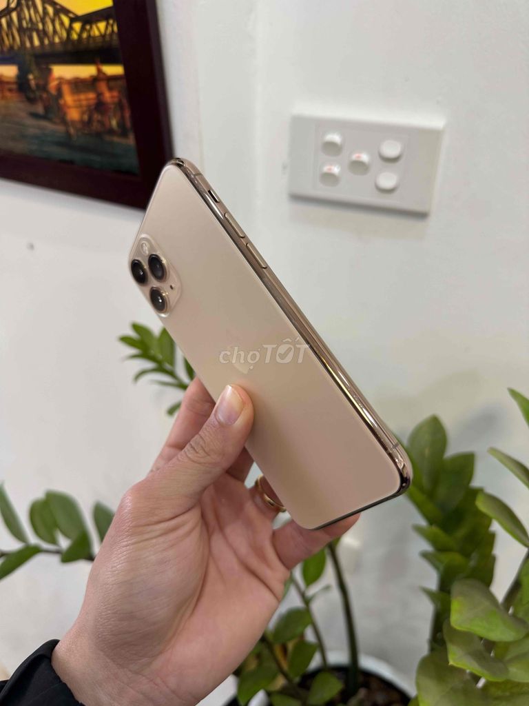 Iphone 11 Pro Gold 256gb Q.tế