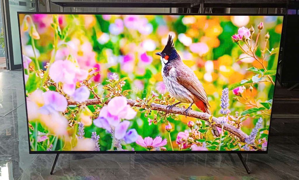 🔥 SIÊU PHẨM 65 INCH SONY 65X90K 🔥. Mua bán Tivi, Âm thanh tại Quận Cẩm Lệ Đà Nẵng được đăng bởi Nguyễn Thị Ngọc hình 1