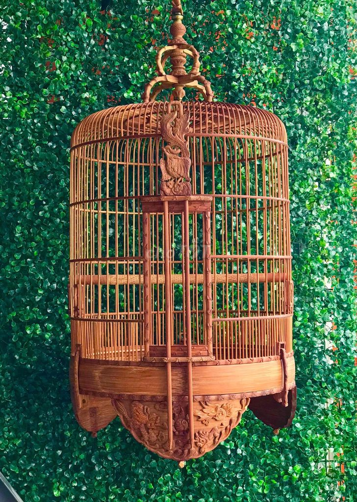 Lồng Biên Hoà tích tứ linh lâu năm, full tre zin. Mua bán Chim tại Thành phố Nha Trang Khánh Hòa được đăng bởi DUY NGUYỄN hình 1