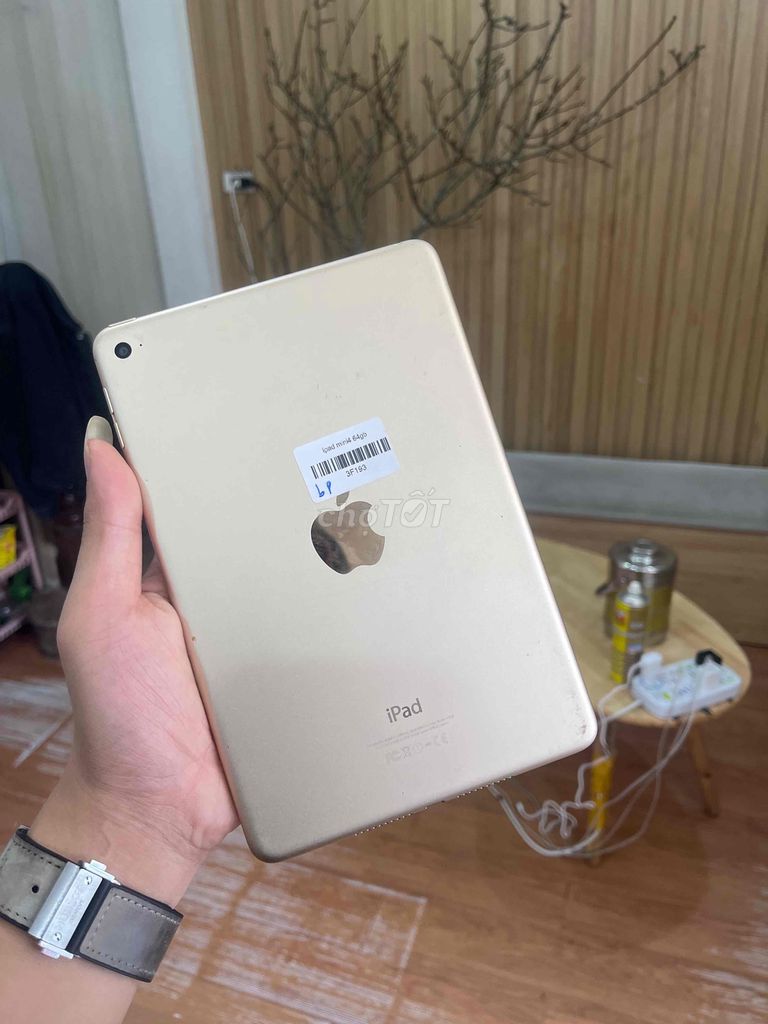 iPad Mini 4 64GB bypas