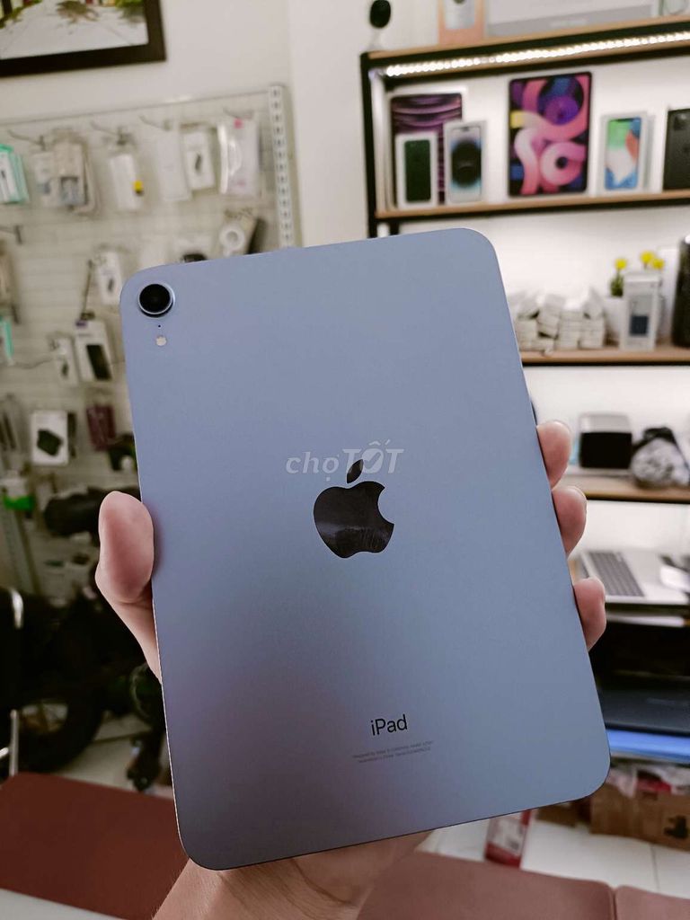  iPad Mini 6 256GB Tím WIFI 99 zin cây Pin 84%. Mua bán Máy tính bảng tại Quận Thanh Khê Đà Nẵng được đăng bởi TT PHONE SALE GIÁ SỈ hình 1