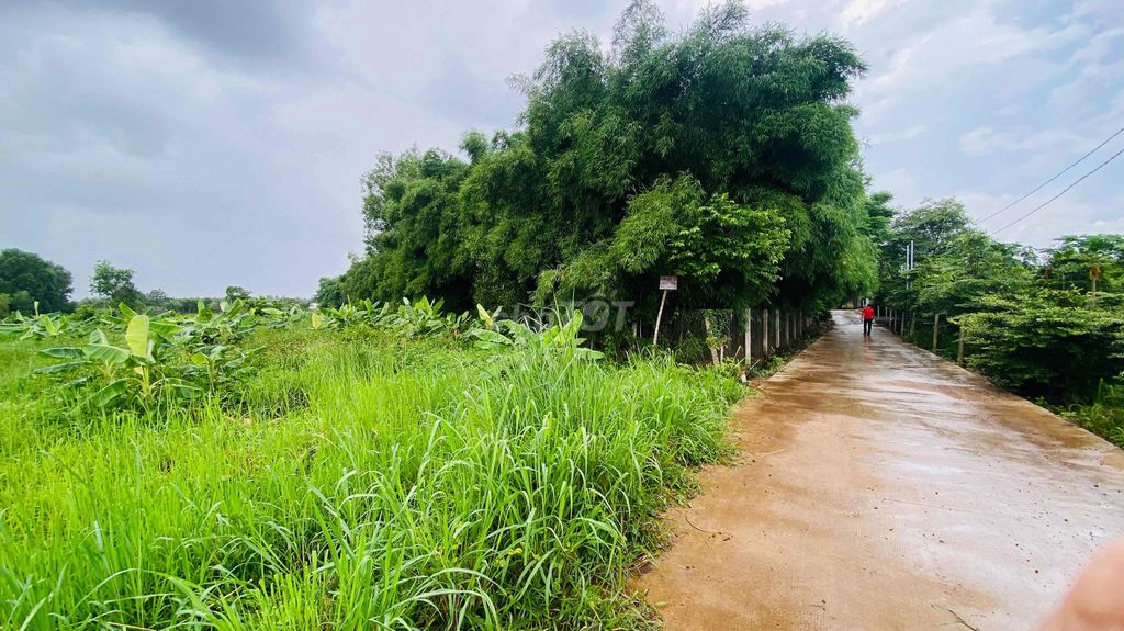 mặt tiền đường Sông Trầu 17B - Trảng Bom thích hợp làm nhà vườn