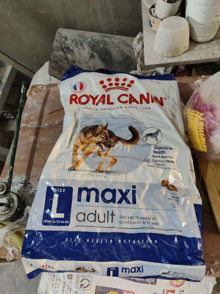 Thức ăn Royal Canin Maxi Adult 10kg. Mua bán Phụ kiện, Thức ăn, Dịch vụ tại Quận 12 Tp Hồ Chí Minh được đăng bởi Thị Xuân Tú Văn hình 1