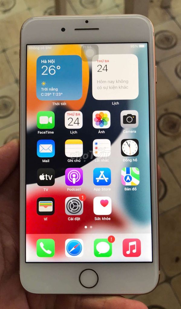 iPhone 8 Plus quốc tế sạch 64gb pin 100% màn rin. Mua bán Điện thoại tại Thành phố Mỹ Tho Tiền Giang được đăng bởi QUÍT ĐƯỜNG SIÊU NGỌT  hình 1