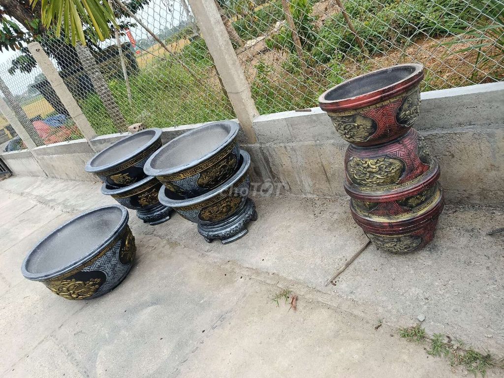 Chậu giá rẻ đúc tại nhà - ĐN. Mua bán Cây cảnh, đồ trang trí tại Huyện Hòa Vang Đà Nẵng được đăng bởi Tran phuoc nhat hình 1