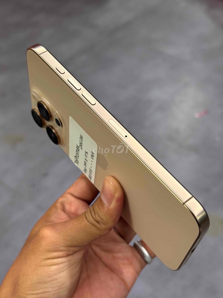 Apple iPhone 16 Promax 256GB Vàng 91%. Mua bán Điện thoại tại Quận Ninh Kiều Cần Thơ được đăng bởi DUY IPHONE  hình 1