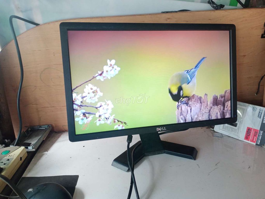 Dell led 20" giá quá tốt 600k