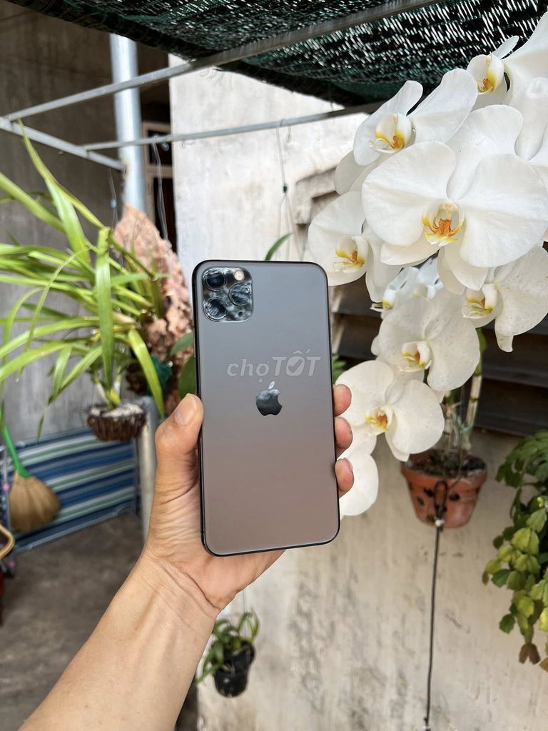 iPhone 11 Pro Max 64GB Xám. Mua bán Điện thoại tại Thành phố Buôn Ma Thuột Đắk Lắk được đăng bởi le hình 1