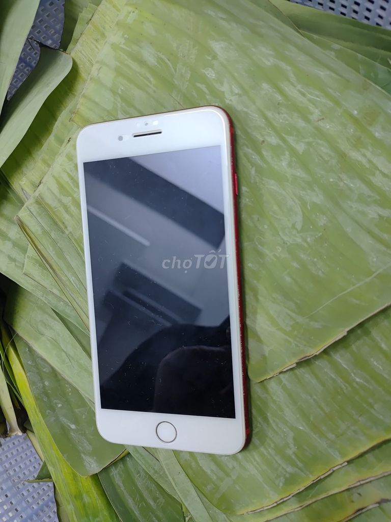 Pass IPhone 7 Plus 128GB-Qtê Đỏ Full vân tay. Mua bán Điện thoại tại Quận 12 Tp Hồ Chí Minh được đăng bởi Khoi hình 1