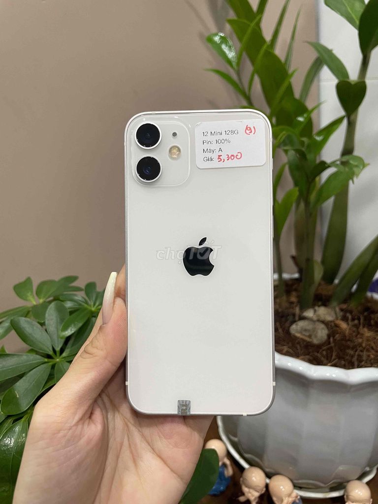📲 12 Mini 128GB quốc tế Trắng zin đẹp keng. Mua bán Điện thoại tại Huyện Hóc Môn Tp Hồ Chí Minh được đăng bởi Luân Hoài hình 1
