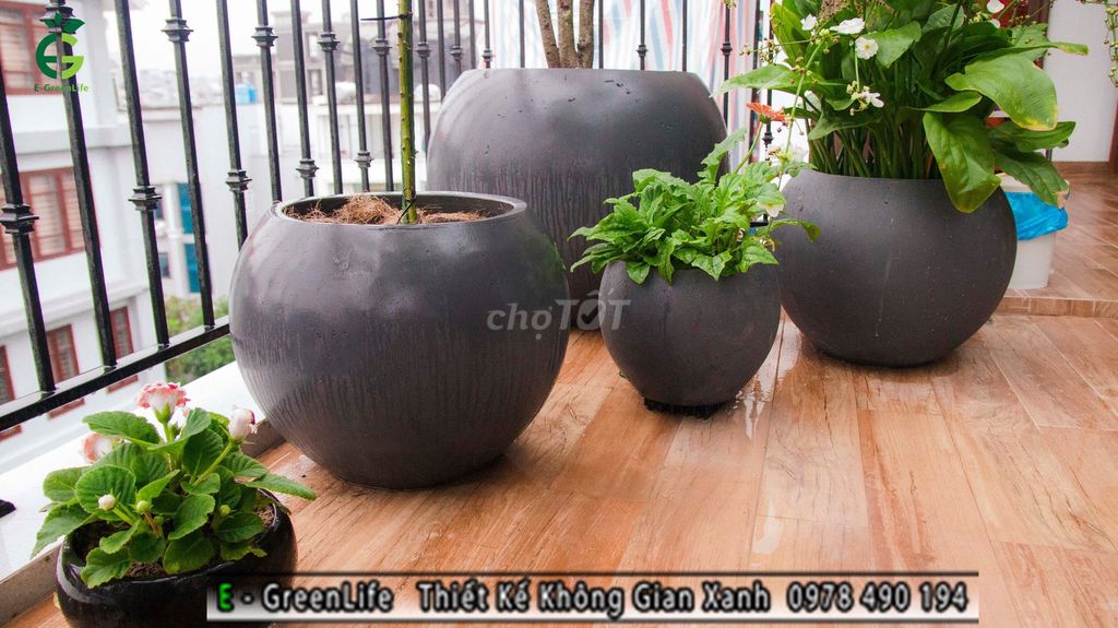 Chậu xi măng siêu nhẹ , dáng tròn. Mua bán Cây cảnh, đồ trang trí tại Quận Bắc Từ Liêm Hà Nội được đăng bởi EGreenlife nhà vườn xanh hình 1