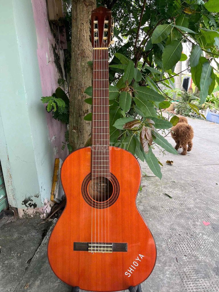 Guitar Classic Yamaha G70D