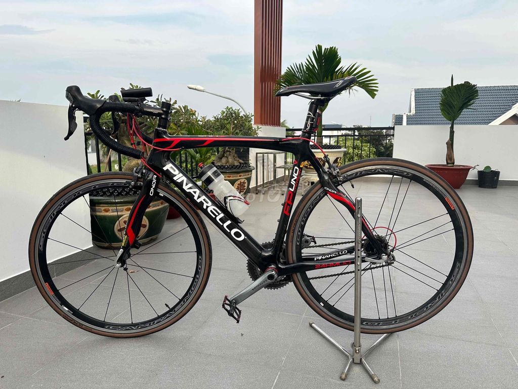 xe đạp đua ( road) pinarello