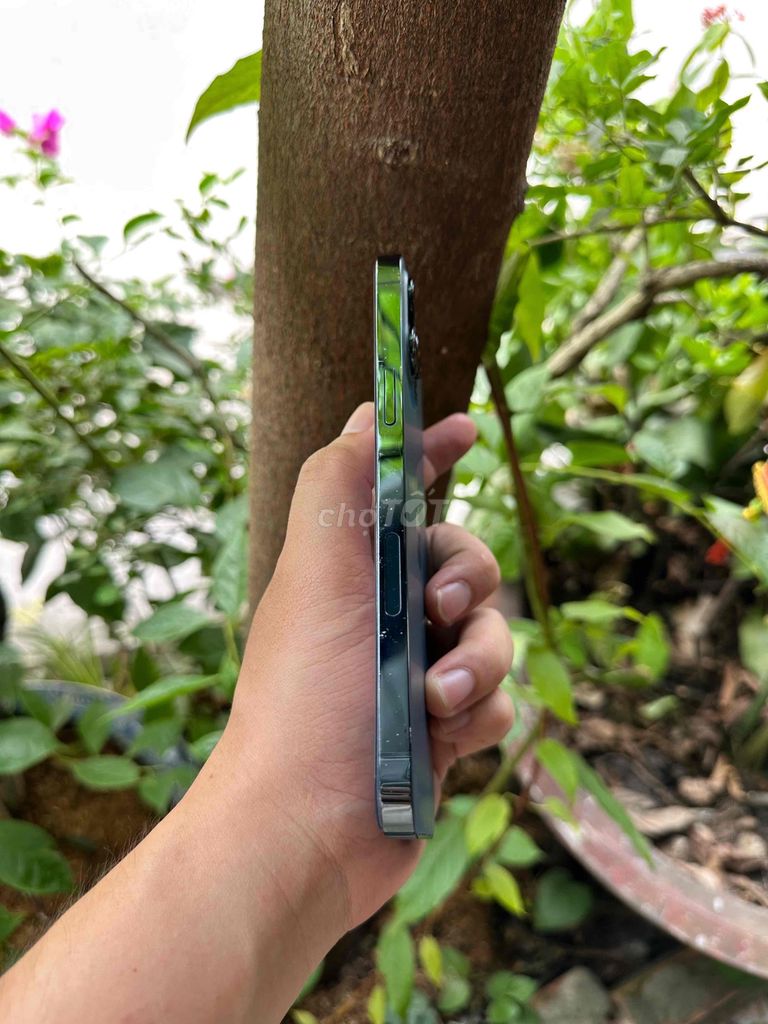 iPhone 12 Pro Max 128GB Xanh. Mua bán Điện thoại tại Quận Ninh Kiều Cần Thơ được đăng bởi Lap Us  hình 1