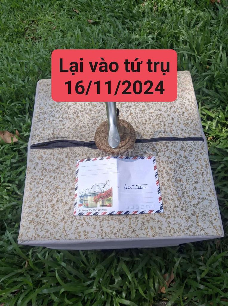 Cám chim chào mào bổi gói 200g