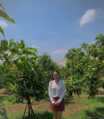 Vườn này không mua thì mua vườn nào... nhìn chỉ có mê. Mua bán đất tại Thành phố Dĩ An Bình Dương được đăng bởi Nguyễn Thanh Thuý