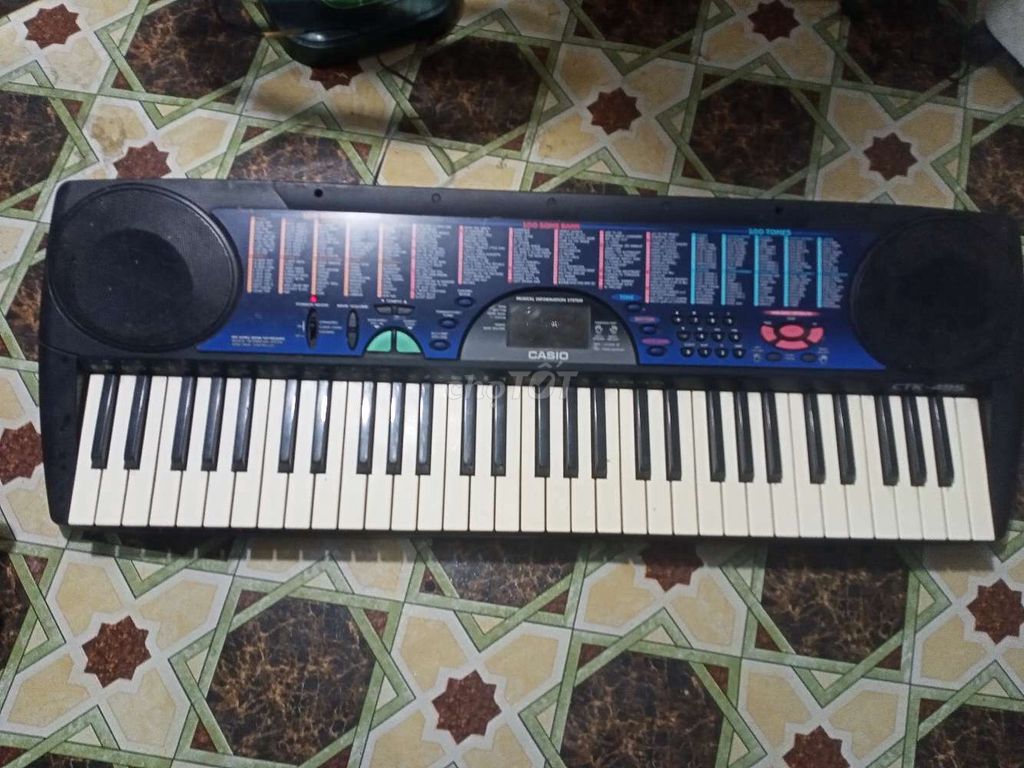 Organ Casio CTK 495