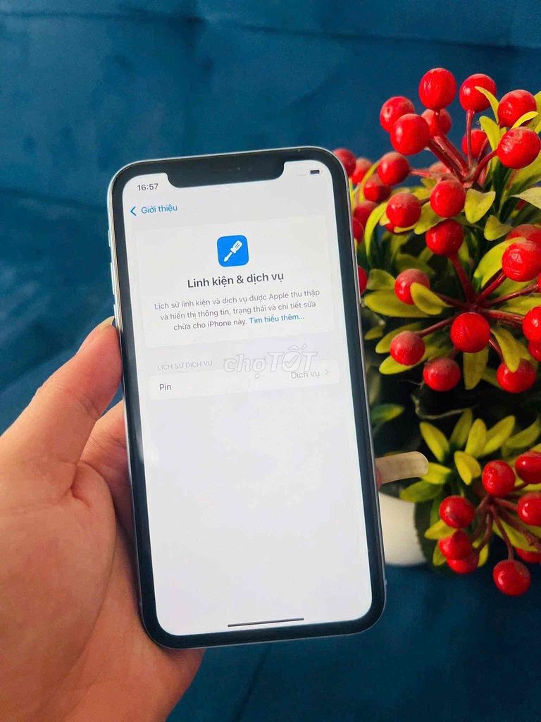 Apple iPhone XR 128GB Xanh Đã sử dụng. Mua bán Điện thoại tại Quận Nam Từ Liêm Hà Nội được đăng bởi Thịnh hình 1