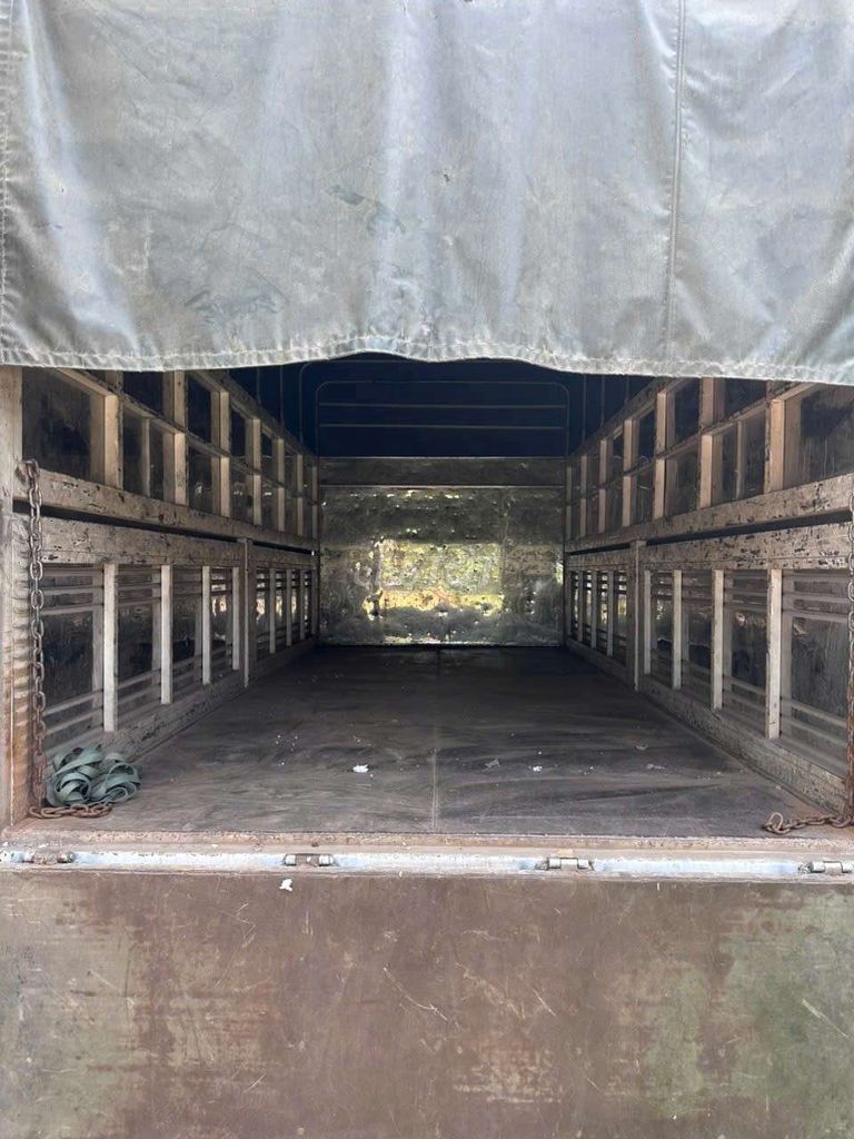 Ảnh số 7