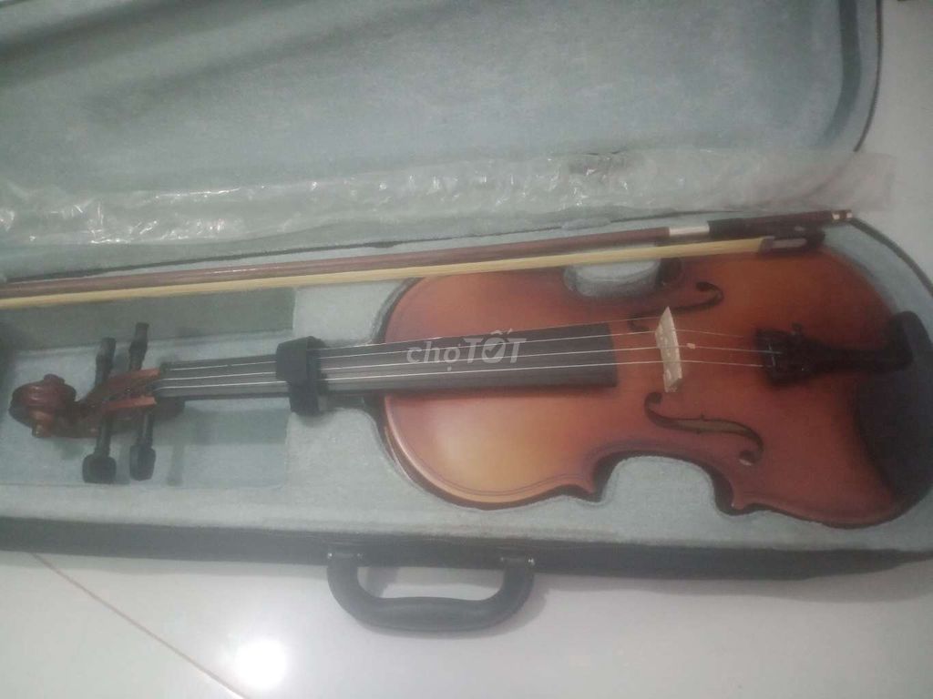 Violin Woim 4/4