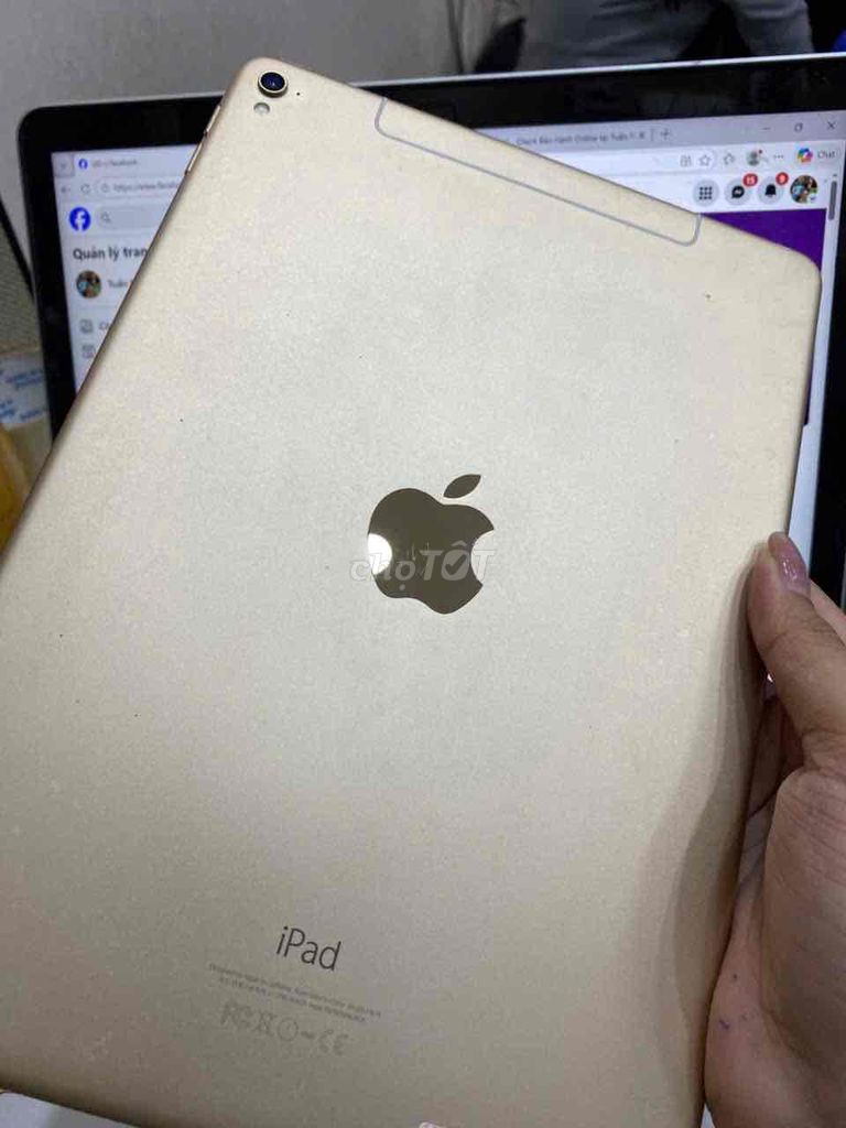 Apple iPad Pro 9.7 inch 32GB Vàng. Mua bán Máy tính bảng tại Quận 3 Tp Hồ Chí Minh được đăng bởi Tuấn Nguyễn hình 1