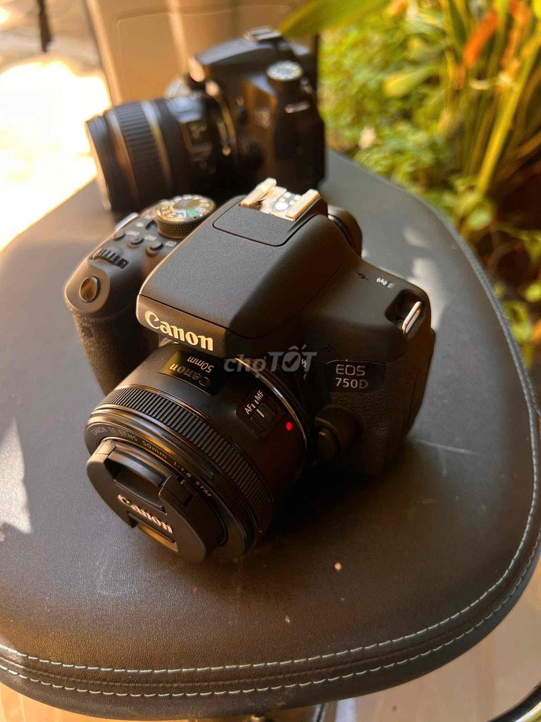 canon 750D + 50stm rất mới