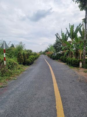 1500m2 đất mặt tiền đường Rạch Mương Chùa, P. Tân Quy Đông, Sa Đéc. Mua bán đất tại Thành phố Sa Đéc Đồng Tháp được đăng bởi Ngọc 