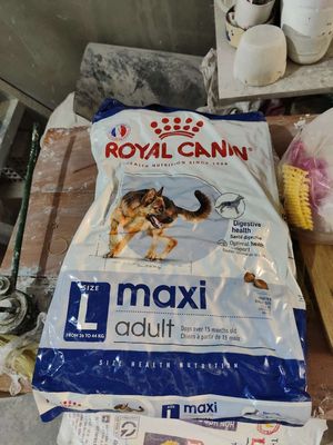 Thức ăn Royal Canin Maxi Adult 10kg
