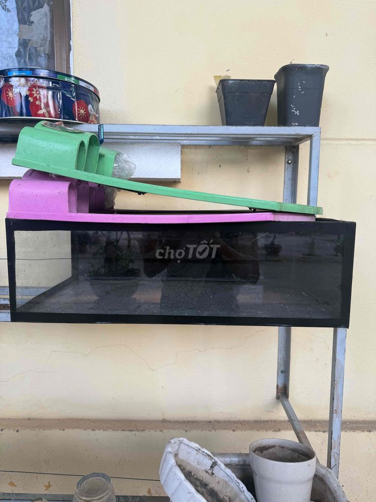 Bể kính 54x33x17 cm. Mua bán Phụ kiện, Thức ăn, Dịch vụ tại Thành phố Thủ Đức Tp Hồ Chí Minh được đăng bởi Mạnh Hùng hình 1