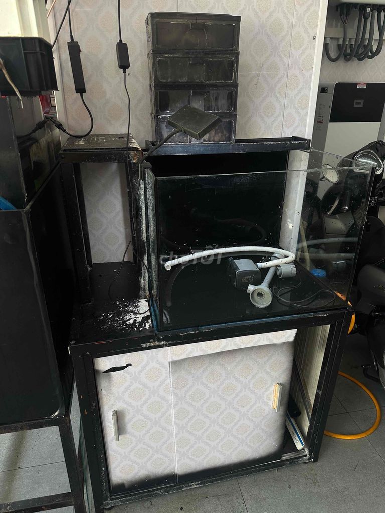 Thanh lý Hồ 60x50x50 Full phụ kiện Q6. Mua bán Phụ kiện, Thức ăn, Dịch vụ tại Quận 6 Tp Hồ Chí Minh được đăng bởi Bu  hình 1