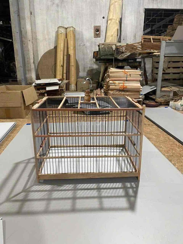 Lực 60 gỗ nan tre. Mua bán Phụ kiện, Thức ăn, Dịch vụ tại Thành phố Thủ Đức Tp Hồ Chí Minh được đăng bởi Quang Huy hình 1